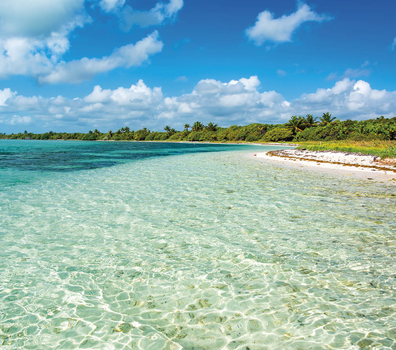 Beautiful Caribbean Sea landscape in the Sian Kaan Biosphere Reserve near Tulum, Mexico
