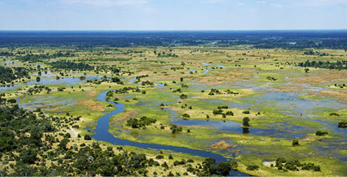 The Okavango Delta in Botswana is a very large, swampy inland delta formed where the Okavango River reaches a tectonic trough in the central part of the endorheic basin of the Kalahari.