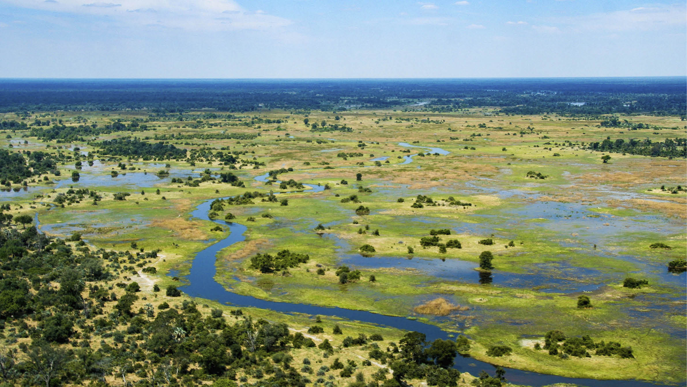 The Okavango Delta in Botswana is a very large, swampy inland delta formed where the Okavango River reaches a tectonic trough in the central part of the endorheic basin of the Kalahari.