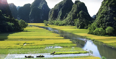 Rice field and river in NinhBinh, Vietnam