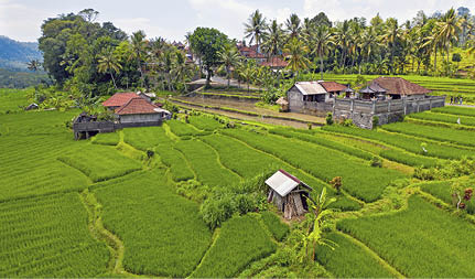 Aerial from rice terraces in Sidemen on Bali Indonesia
