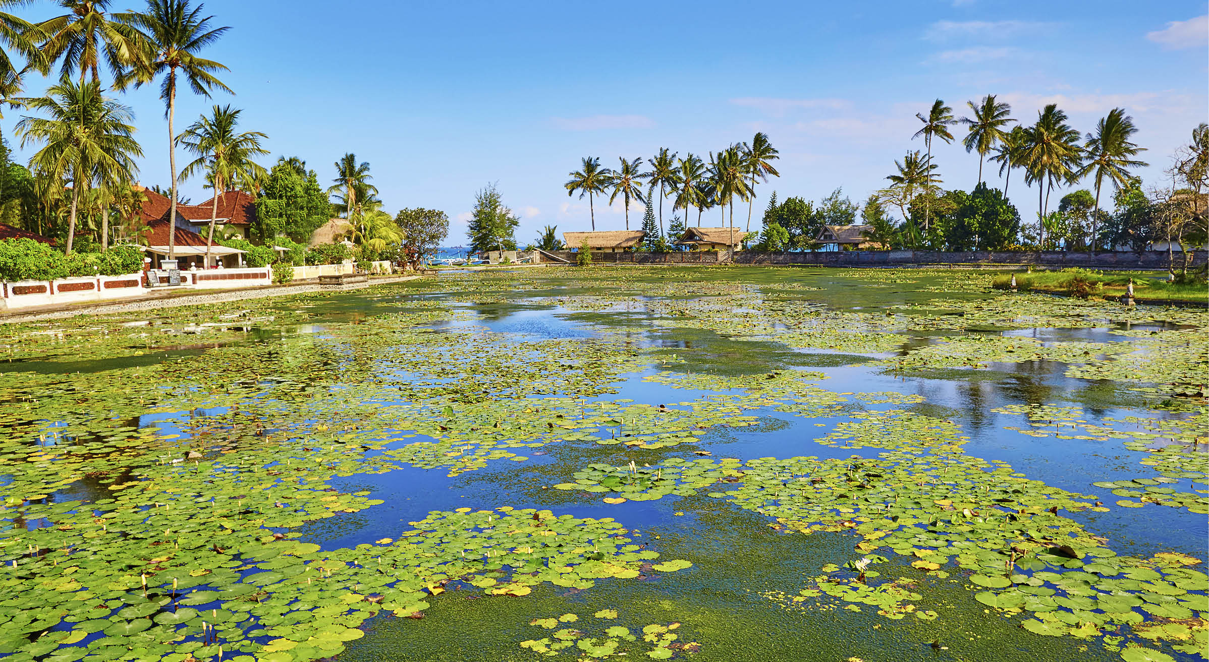 Beautiful lotus lagoon in Candidasa, Bali, Indonesia