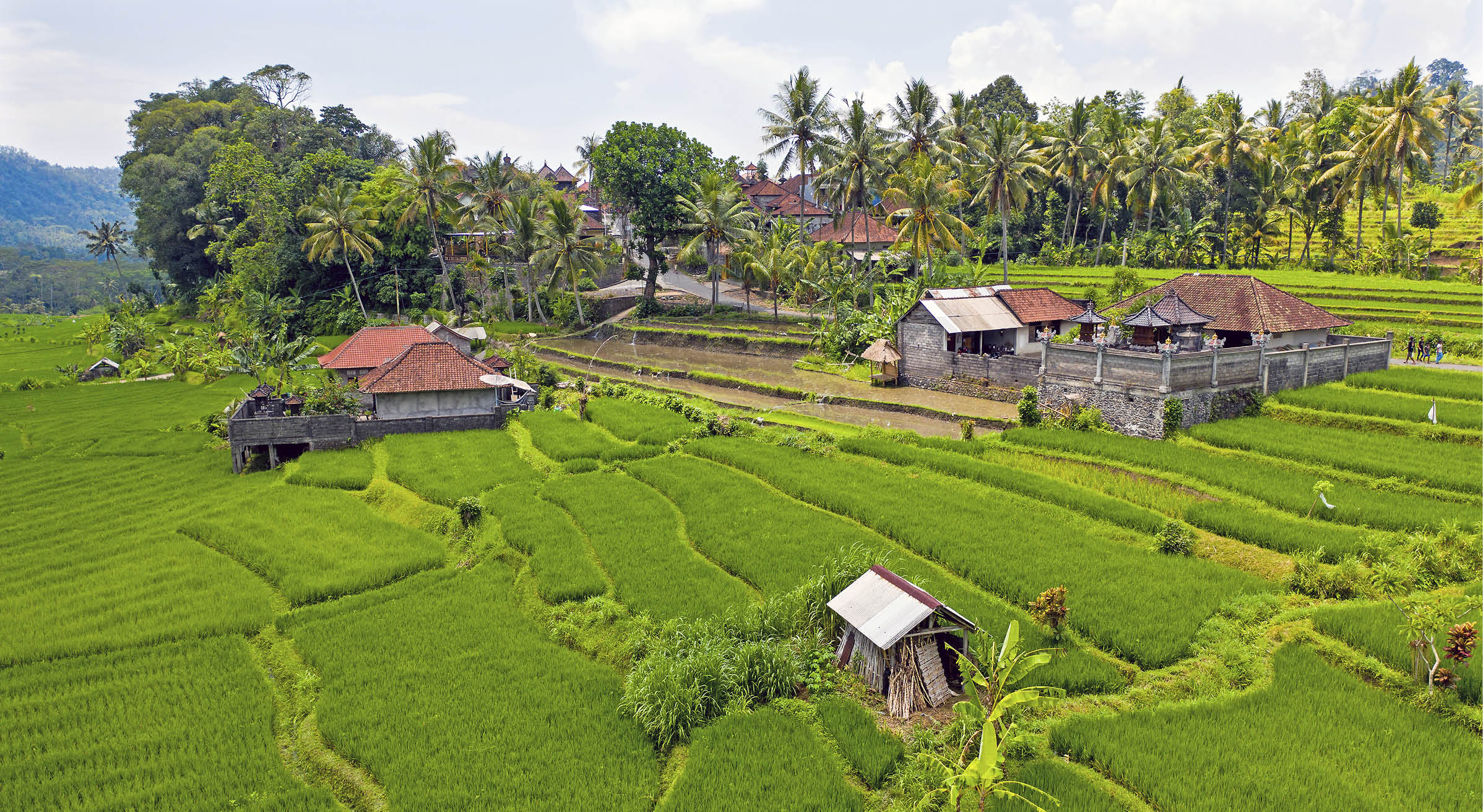 Aerial from rice terraces in Sidemen on Bali Indonesia