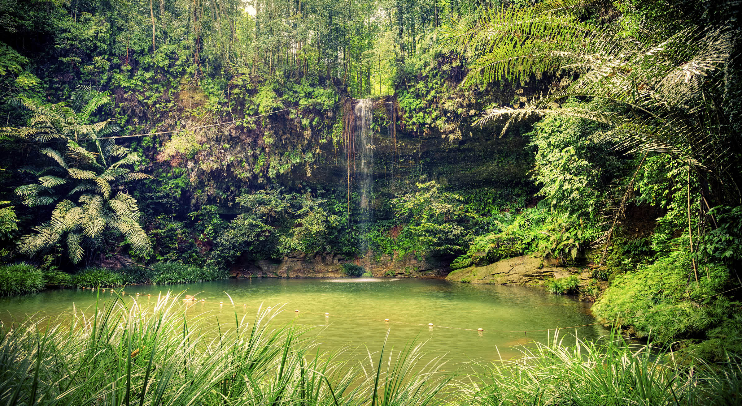 Beautiful waterfall in wild pristine nature