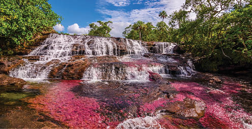 Titled as Colombia's unique biological wonder, Caño Cristales goes by many identities such as  river of five colors,   the river that ran away from paradise,  and  the most beautiful river in the world   Only during the short span between the wet and dry seasons, when the water level is just right, a unique species of plant that lines the river floor called  Macarenia clavigera  turns into a brilliant red During the wet season, the water flows too fast and deep, denying the Macarenia clavigera the sun that it needs to turn red  For a few weeks from September to November, the river transforms into a flowing rainbow  Caño Cristales, is part of National Park Serrania de la Macarena and accessible from the nearby town of La Macarena 