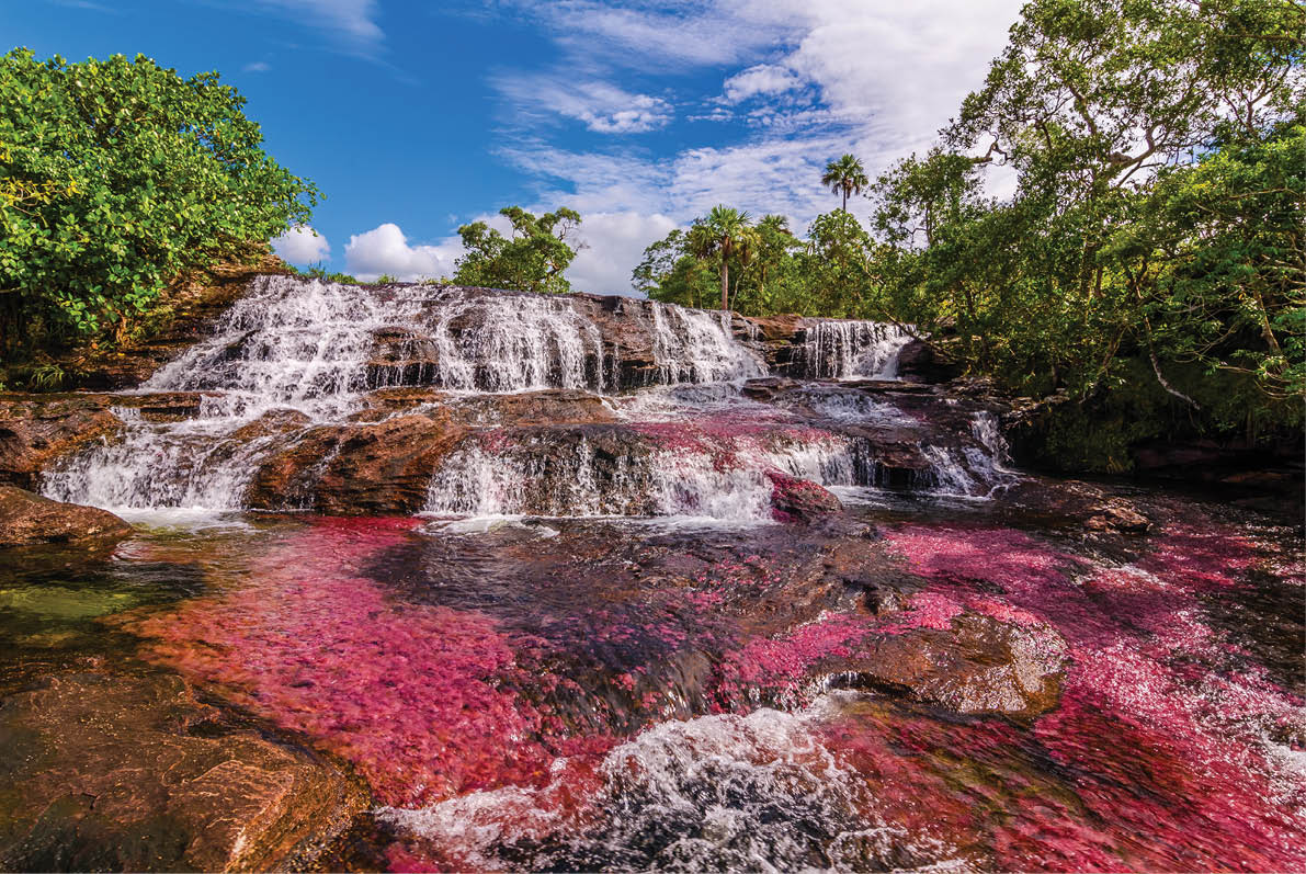 Titled as Colombia's unique biological wonder, Caño Cristales goes by many identities such as  river of five colors,   the river that ran away from paradise,  and  the most beautiful river in the world   Only during the short span between the wet and dry seasons, when the water level is just right, a unique species of plant that lines the river floor called  Macarenia clavigera  turns into a brilliant red During the wet season, the water flows too fast and deep, denying the Macarenia clavigera the sun that it needs to turn red  For a few weeks from September to November, the river transforms into a flowing rainbow  Caño Cristales, is part of National Park Serrania de la Macarena and accessible from the nearby town of La Macarena 