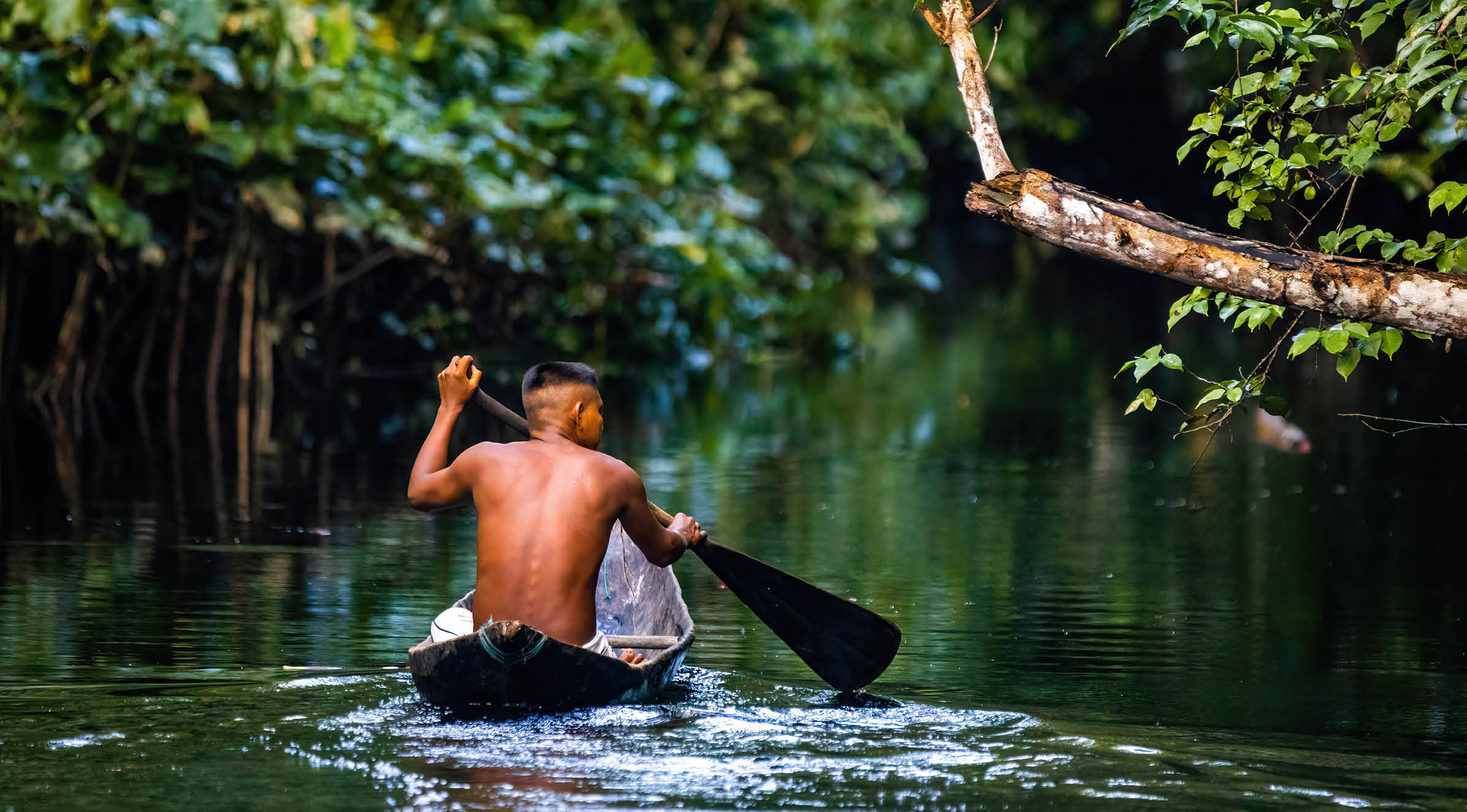 Native tribal man swimming in amazonia rainforest in handmade boat