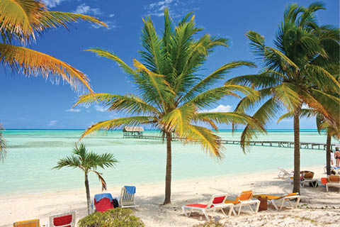 Relaxing on a tropical beach