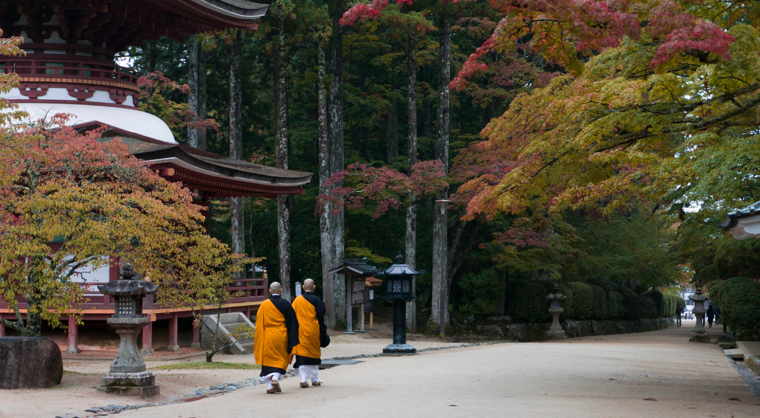 Buddhist monks walking past temple in Koyasan, Mt Koya, Japan during autumn. 