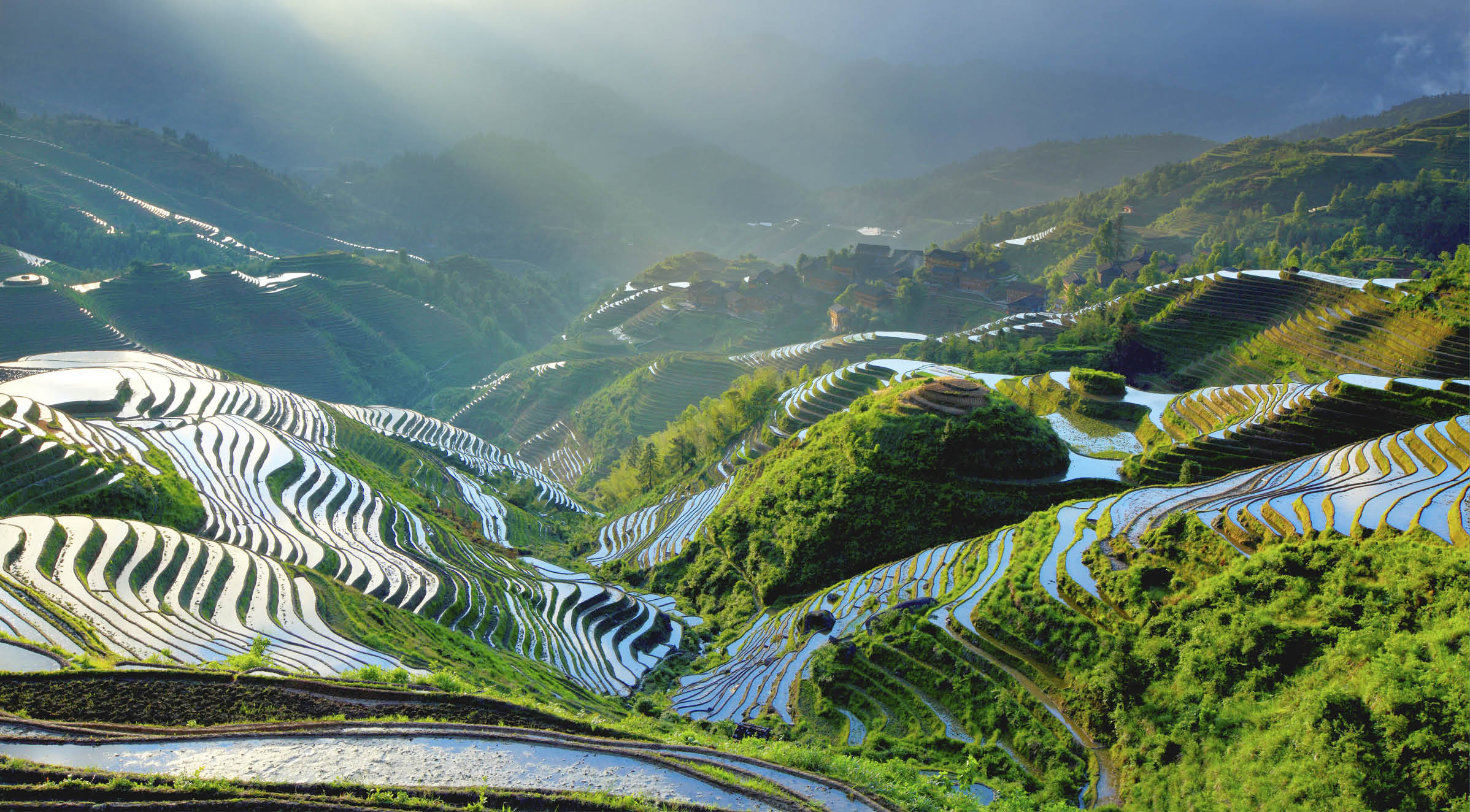 “Rice paddy in Longsheng,Guilin,Guangxi,China."