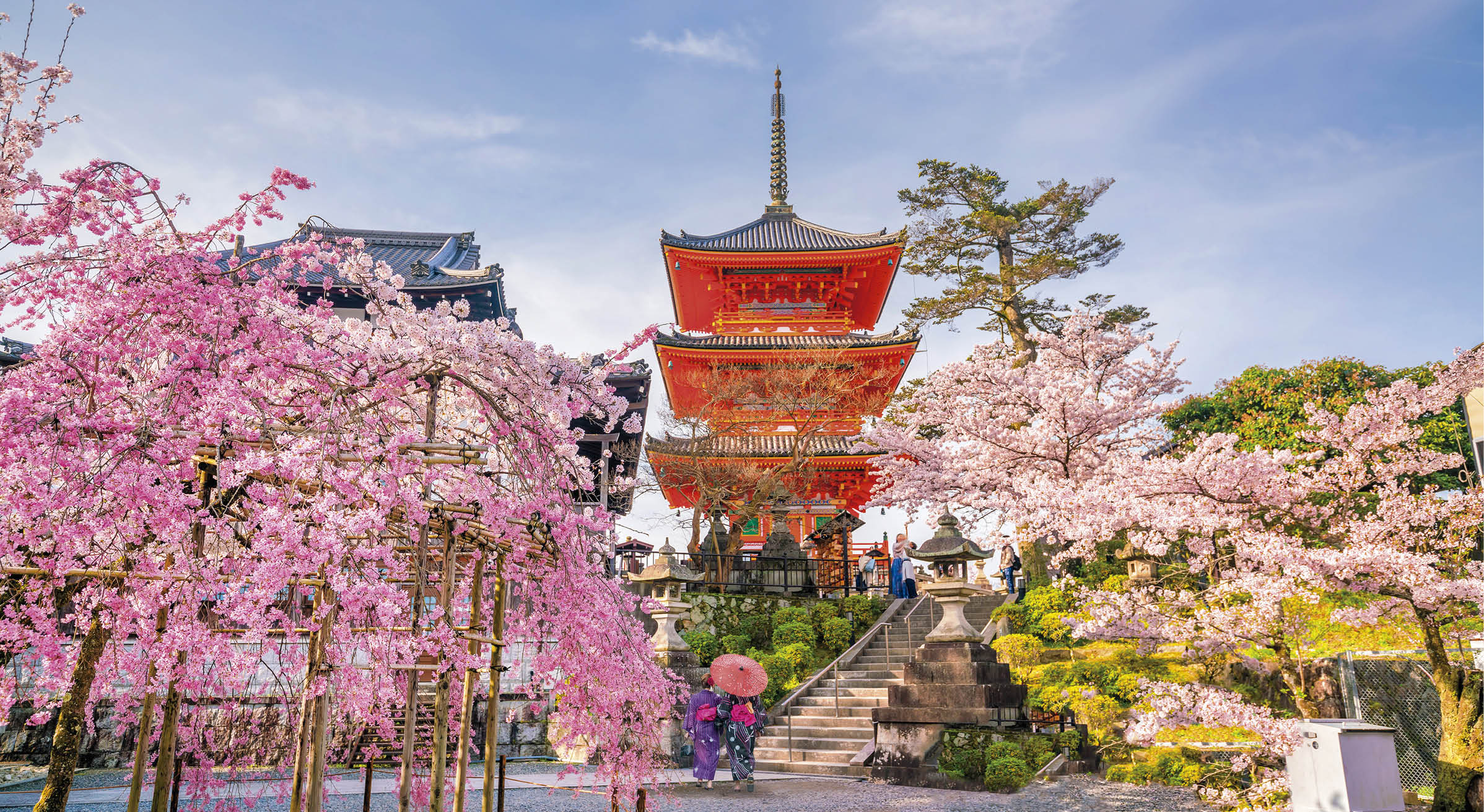 Kiyomizu-dera Temple and cherry blossom season (Sakura) spring time in Kyoto, Japan