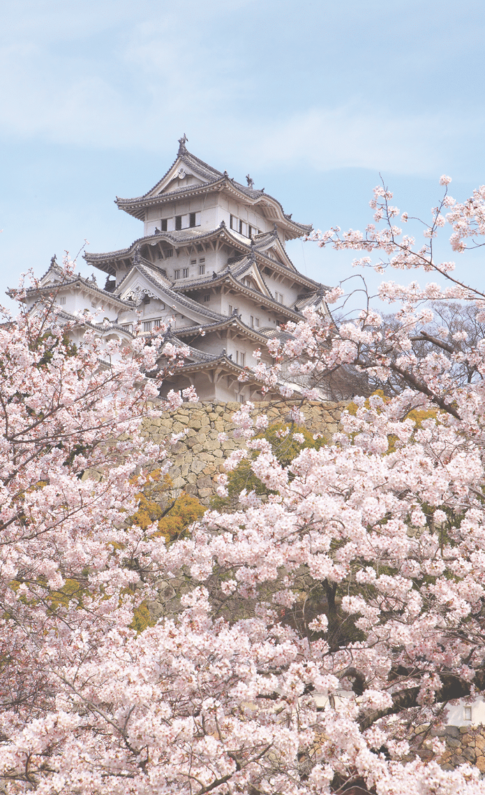 Details of Structure of the Castle in Japan