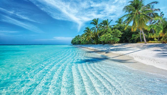 Maldives Islands Ocean Tropical Beach