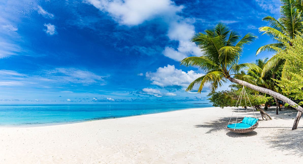 Tropical beach background as summer relax landscape with beach swing or hammock and white sand and calm sea for beach template  Amazing beach scene vacation and summer holiday concept  Luxury travel
